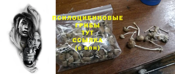 СК Володарск