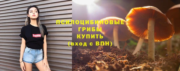 СК Володарск