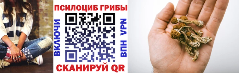 гидра ONION Камешково Галлюциногенные грибы мухоморы как найти