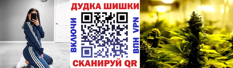 площадка клад  мега как войти  Камешково  наркота  Бошки Шишки марихуана 